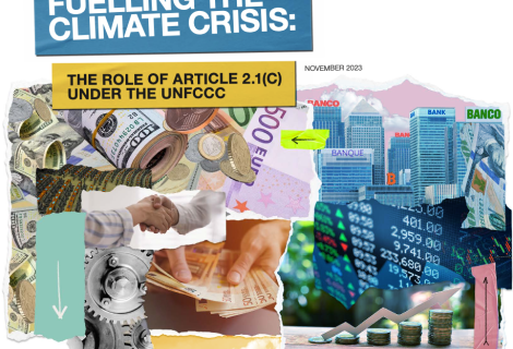 European Finance Flows fuelling the climate crisis: The role of Article 2.1c under the UNFCCC