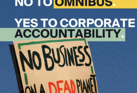 No To Omnibus Proposal Poster